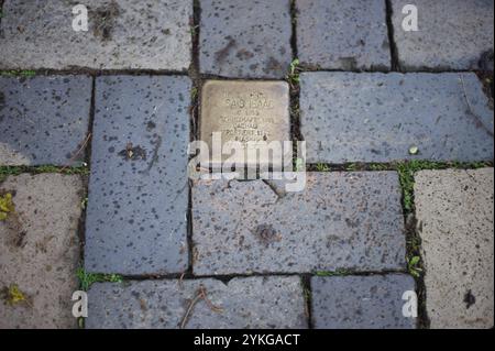 Flensburg, Schleswig-Holstein Stolperstein Bredeberg 1, Flensburg, Gegenüber der Hohlwegschule. Unter der adresse wohnte Josais Isaac, geboren AM 10. Januar 1885 à Flensburg. Er kam 1938 in Schutzhaft nach Dachau und wurde im avril 1942 nach Piaski in Polen ins Ghetto deportiert und dort ermordet. Aufnahme vom 18. Novembre 2024, Flensburg. *** Flensburg, Schleswig Holstein Stolperstein Bredeberg 1, Flensburg, en face de la Hohlwegschule Josais Isaac, né le 10 janvier 1885 à Flensburg vivait à l'adresse où il fut placé en détention préventive à Dachau en 1938 et déporté dans le ghetto de P. Banque D'Images