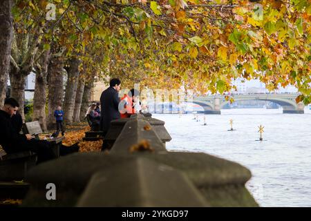 Victoria Tower Gardens South, Londres, Royaume-Uni. 18 novembre 2024. Météo Royaume-Uni : automne à Victoria Tower Gardens South, Londres. Credit : Matthew Chattle/Alamy Live News Banque D'Images
