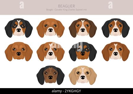 Beagle Cavalier King Charles Spaniel mix. Beaglier clipart. Différentes couleurs de manteau définies. Illustration vectorielle Illustration de Vecteur