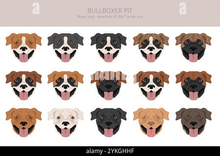 Bullboxer Pit clipart. Boxer dog American Pit Bull terrier mix. Différentes couleurs de pelage. Illustration vectorielle Illustration de Vecteur