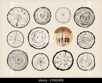 Grain de bois. Logo d'anneau d'arbre. Encerclez le tronc de la veine ou du moignon coupé. Type de forêt naturelle. Écorce organique circulaire. Matériaux en bois. Planche fendue. Timbe en chêne Illustration de Vecteur