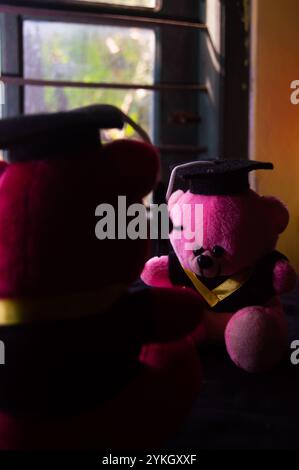 tiré sur une poupée de graduation près de la fenêtre Banque D'Images