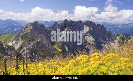 Panorama du Grosser Daumen (2280m) au Daumengruppe avec Wengenkoepfe au Nebelhorn (2224m), Allgaeuer Alpen, Allgaeu, Bavière, Allemagne, E Banque D'Images