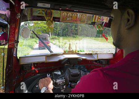 Vue d'un tuktuk sur un tuktuk et les rizières, Pilimathalawa, Kandy, Province centrale, Sri Lanka, Asie Banque D'Images