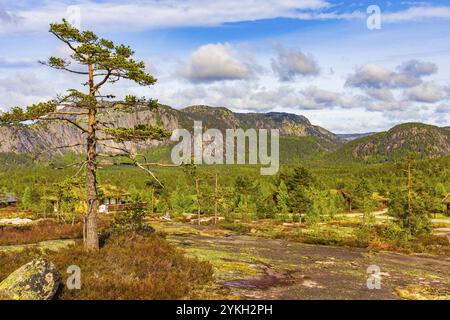 Panorama avec des sapins et des montagnes dans le paysage naturel de Treungen en Norvège Nissedal Banque D'Images