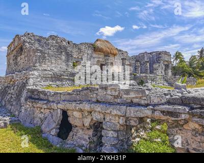 Site maya des ruines antiques de Tulum avec des ruines de temple pyramides et des objets dans la forêt tropicale naturelle jungle palmiers et paysage marin vue panoramique à Tulum Banque D'Images