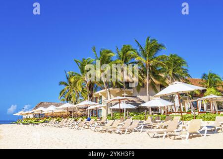 Palmiers parasols parasols, parasols et chaises longues au Reef coco Beach Resort sur la plage tropicale mexicaine de Playa del Carmen au Mexique Banque D'Images