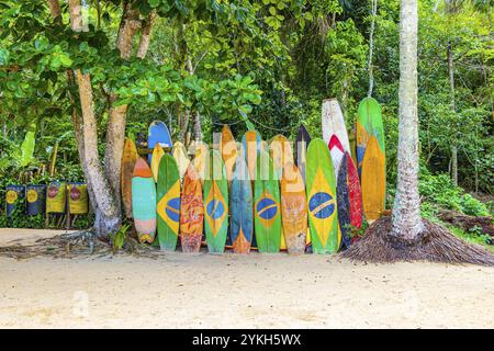 Planches de surf colorées avec drapeau brésilien à l'incroyable plage de Mangrove et plage de Pouso sur la grande île tropicale Ilha Grande Rio de Janeiro Brésil Banque D'Images