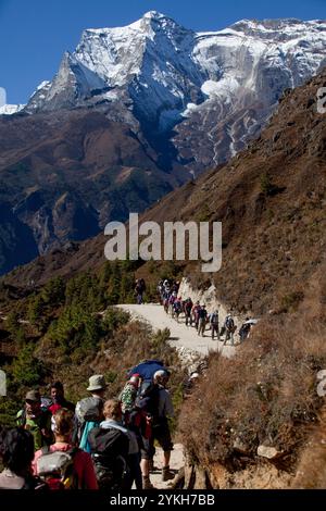 Octobre 2009 WWF Everest en route vers Namche sentier animé avec randonneurs Banque D'Images