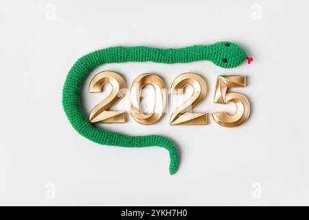 Jouet tricoté rayé serpent vert et numéros or. Symbole de l'année 2025 sur fond gris. Banque D'Images