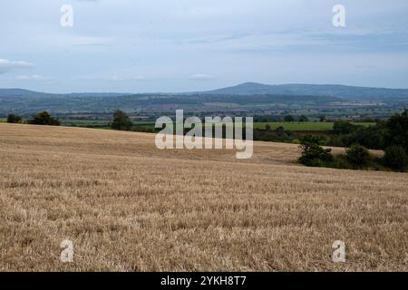 Vue vers Titterstone Clee Hill à travers les champs agricoles le 16 octobre 2024 à Stokesay, Royaume-Uni. Titterstone Clee Hill, parfois appelé Titterstone Clee ou, à tort, Clee Hill, est une colline importante dans le comté rural anglais du Shropshire, s'élevant au sommet à 533 mètres au-dessus du niveau de la mer. C'est l'une des Clee Hills, dans la région de Shropshire Hills d'une beauté naturelle exceptionnelle. Banque D'Images