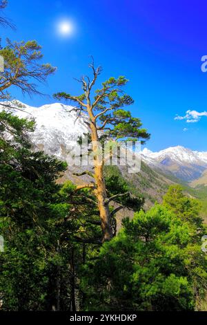 Belle vue de la montagne dans la région de l'Elbrous.L'Europe Banque D'Images