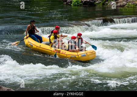 Les clients prennent part au rafting en eau vive sur les rapides de la rivière Ocoee dans la forêt nationale de Cherokee, Tennessee. (Photo USDA par lance Cheung) Banque D'Images