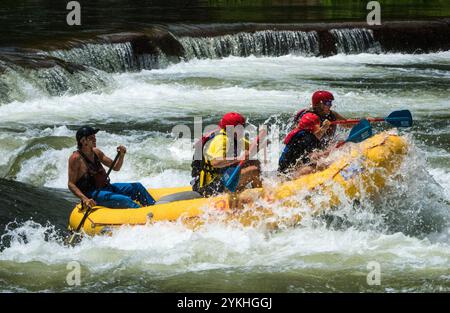 Les clients prennent part au rafting en eau vive sur les rapides de la rivière Ocoee dans la forêt nationale de Cherokee, Tennessee. (Photo USDA par lance Cheung) Banque D'Images