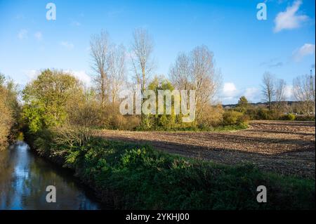 La rivière Senne et son environnement naturel à la réserve naturelle Groene Beemde dans le Lot, Beersel, Brabant flamand, Belgique Banque D'Images