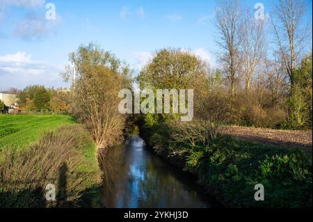 La rivière Senne et son environnement naturel à la réserve naturelle Groene Beemde dans le Lot, Beersel, Brabant flamand, Belgique Banque D'Images