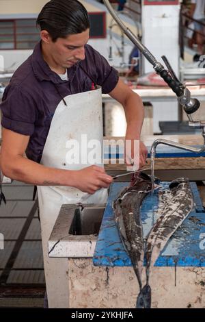 Poissonnier filant du sabre noir au marché aux poissons de Madère Banque D'Images