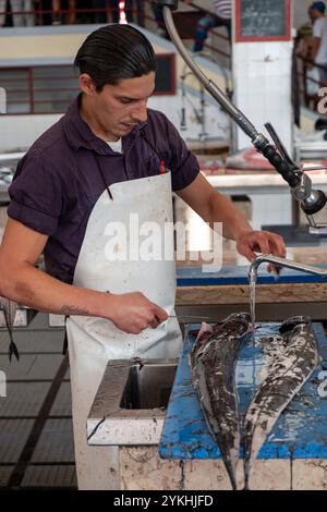 Poissonnier filant du sabre noir au marché aux poissons de Madère Banque D'Images