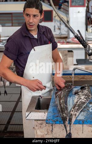 Poissonnier filant du sabre noir au marché aux poissons de Madère Banque D'Images