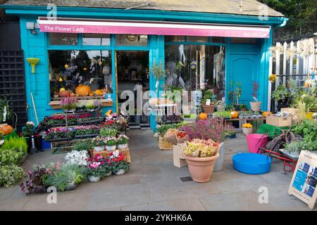 The Flower Lady Nursery Plant magasin extérieur des affaires à Herne Hill automne octobre 2024 Londres Angleterre Royaume-Uni KATHY DEWITT Banque D'Images