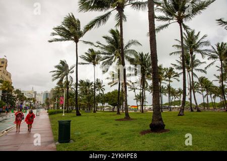 Palmiers près de Ocean Drive mondialement célèbre à Miami Beach Banque D'Images