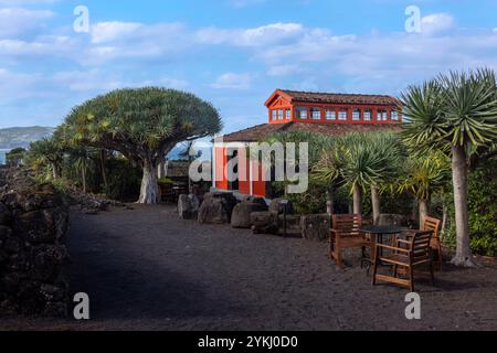 Le Musée du vin de Pico est consacré à la vinification et à l'histoire de la production de vin sur l'île de Pico, aux Açores, au Portugal. Banque D'Images