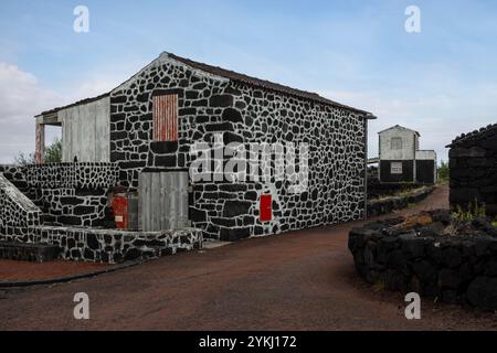 Le village de Lajido est situé dans l'un des centres de la cave de lave sur l'île de Pico, aux Açores. Banque D'Images