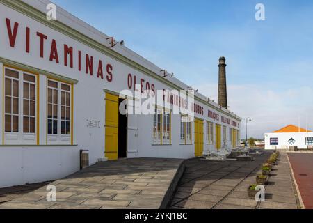 À São Roque, sur l'île de Pico, le Musée de l'industrie baleinière fournit des informations sur le côté transformation de l'industrie baleinière aux Açores. Banque D'Images