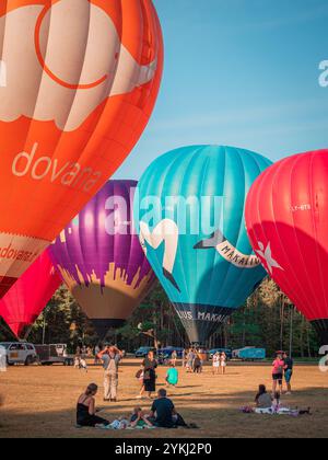 Montgolfières colorées volant dans le ciel bleu clair lors d'un événement de montgolfière, mettant en valeur l'aventure, la liberté et les loisirs en plein air Banque D'Images