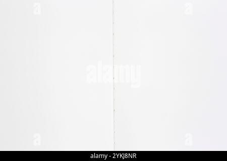 toile de fond pour certains messages : gros plan de deux pages vierges du carnet de croquis ouvert Banque D'Images