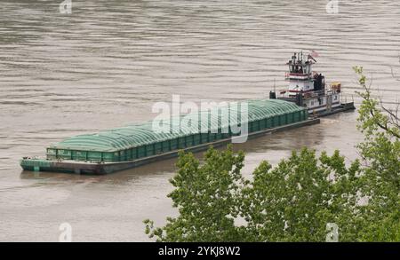 Consolidation des activités de grain et de barge à la gare de Riverside, à Cincinnati, en Ohio, le 10 mai 2017. Les camions livrent le soja pour inspection et achat, puis il est chargé sur des barges pour expédition à la Nouvelle-Orléans et à des clients étrangers. Photo USDA par lance Cheung. Banque D'Images