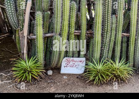 Toilettes des esclaves libérés avec des murs simples faits de cactus et de plantes d'aloe vera. Kas di Pal'i maishi - Maison Kunuku. Coiffeur, Curaçao, Curaçao, Curaçao, Kòrsou Banque D'Images