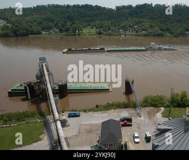 Consolidation des activités de grain et de barge à la gare de Riverside, à Cincinnati, en Ohio, le 10 mai 2017. Les camions livrent le soja pour inspection et achat, puis il est chargé sur des barges pour expédition à la Nouvelle-Orléans et à des clients étrangers. Photo USDA par lance Cheung. Banque D'Images