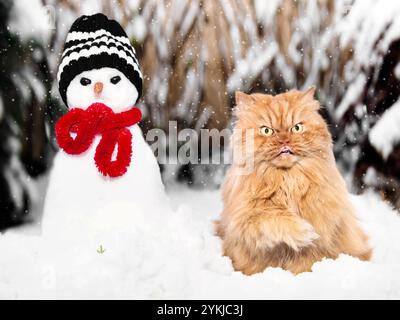 Un chat persan orange est assis à côté d'un bonhomme de neige avec une écharpe rouge et un chapeau, entouré de neige tombant en hiver. Banque D'Images
