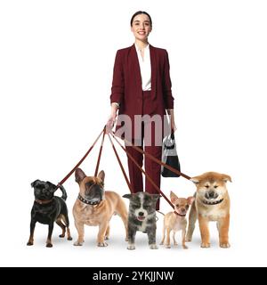 Jeune femme avec cinq chiens différents sur fond blanc. Service de promenade de chiens Banque D'Images