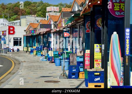 Sokcho, Corée du Sud - 3 novembre 2024 : une rangée de restaurants de fruits de mer avec des panneaux colorés et des caisses à l'extérieur, alignés le long de la passerelle piétonne Banque D'Images
