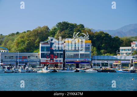 Sokcho, Corée du Sud - 3 novembre 2024 : le vibrant centre de fruits de mer Daepo Port présente des bâtiments colorés ornés d'une grande sculpture de crabe, avec Banque D'Images