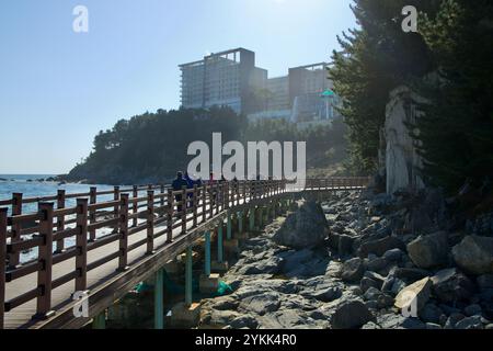 Ville de Sokcho, Corée du Sud - 3 novembre 2024 : les visiteurs se promènent le long de la promenade Oeongchi Sea Fragrance Trail, entourée de rives rocheuses et avec l Banque D'Images