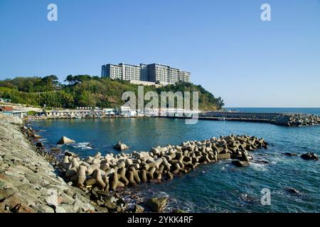 Ville de Sokcho, Corée du Sud - 3 novembre 2024 : une vue panoramique du port d'Oeongchi avec des brise-lames, des bateaux de pêche et le Lotte Resort perché Banque D'Images