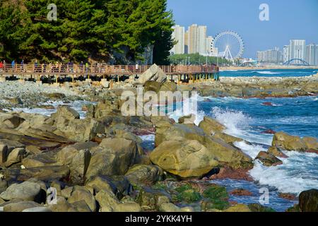 Ville de Sokcho, Corée du Sud - 3 novembre 2024 : la promenade en bois du sentier des parfums de la mer d'Oeongchi serpente le long de la côte accidentée, offrant des vues panoramiques Banque D'Images