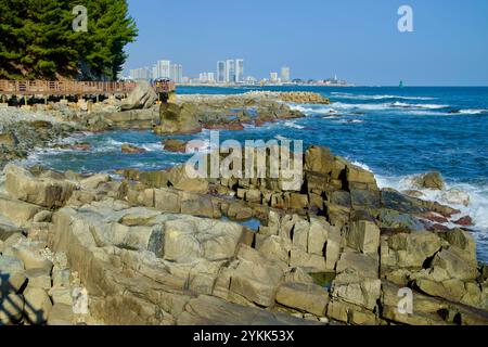 Ville de Sokcho, Corée du Sud - 3 novembre 2024 : les vagues s'écrasent contre des rochers accidentés le long de la promenade Oeongchi Sea Fragrance Trail, avec une vue imprenable Banque D'Images