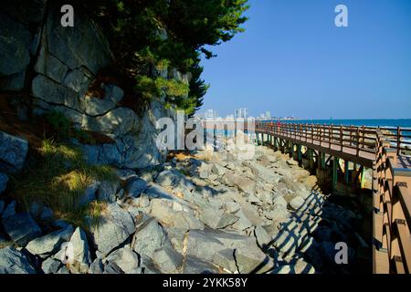 Sokcho City, Corée du Sud - 3 novembre 2024 : la promenade Oeongchi Sea Fragrance Trail embrasse une falaise rocheuse, offrant une vue imprenable sur la mer de l'est Banque D'Images