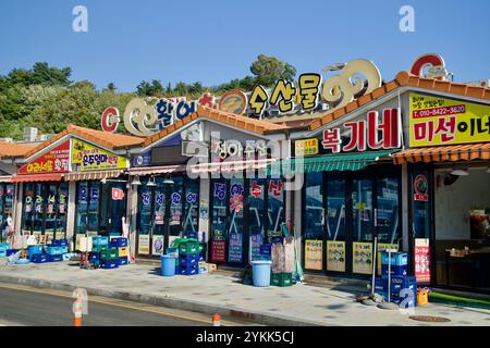 Sokcho, Corée du Sud - 3 novembre 2024 : une rangée de restaurants de fruits de mer colorés et de magasins près du port de Daepo, avec une signalisation dynamique et des devantures de magasins Banque D'Images
