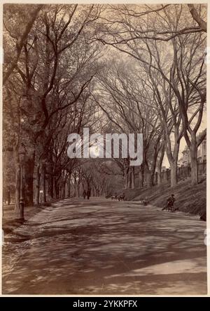 Boston Common (le centre commercial le long de Beacon Street), 1885, Banque D'Images