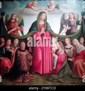 Botticini Raffaello, Madonna della Misericordia e donatori Banque D'Images