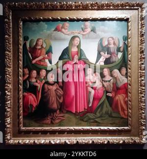 Botticini Raffaello, Madonna della Misericordia e donatori Banque D'Images