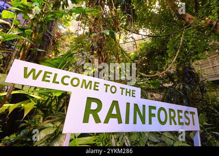 Le panneau de bienvenue à l'entrée de la flore dense, les plantes. Dans la jungle de la forêt tropicale à l'Académie des Sciences de Californie, San Francisco. Banque D'Images