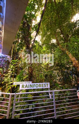 Le panneau de bienvenue à l'entrée de la flore dense, les plantes. Dans la jungle de la forêt tropicale à l'Académie des Sciences de Californie, San Francisco. Banque D'Images