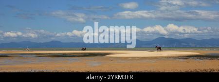 Journée d'été à Marahau Beach, Nouvelle-Zélande. Banque D'Images