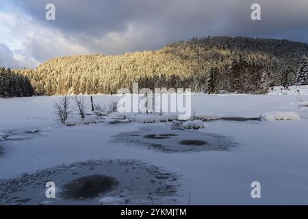FRANCE, LORRAINE, VOSGES (88), PARC NATUREL RÉGIONAL DES BALLONS DES VOSGES, LAC LISPACH SOUS LA NEIGE EN HIVER Banque D'Images